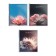 Notebook 96 liters on the crest of aesthetics, region chalk cards, glossy lamp, block offset mix