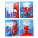 Notebook in a cage 12 sheets, 4 types of mix, cover coated paper, spider-man