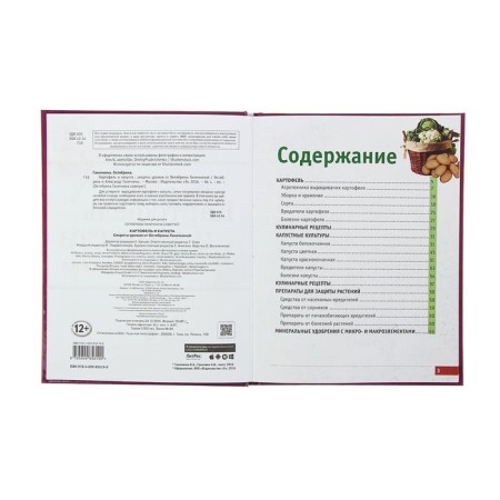 Potatoes and cabbage. Harvest secrets from Oktyabrina Ganichkina. Ganichkina O.A.-4