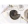 Ceramic serving "shell", d = 20 cm