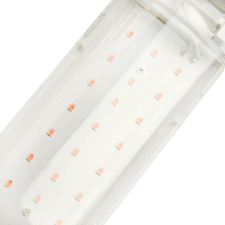 Feron, E27, 30 W, 175-265 V plants, pink light-2