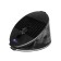 Patriot pump, 10 l, black