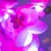 Night -sided "Orchid" 18XLED 4000K pink 20x20x60cm Risalux