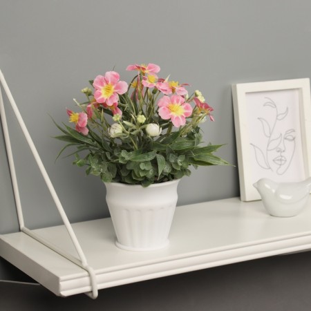 Bonsai in the pot "Primrose Extra Premium" 21x9 cm, mix