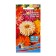 Tsinnia flowers are cacti -shaped "happiness", 0, 2 g,