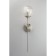 Wall lamp (sconces) Dominika E14 40W