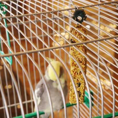 Grain sticks "Pigzon" for birds, honey, 2 pcs, 90 g-1