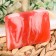 SPA soap - care for the bathhouse and sauna "Forest Berries" Dobroparov handmade 80 grams