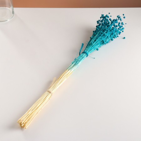 A set of dried flowers "Lenon-long", banch length 55-60 (+/- 6 cm), turquoise-3