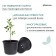 Pot for seedlings, 2.2 l, d = 21 × 16 cm Greengo