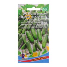 Seeds of cucumber 