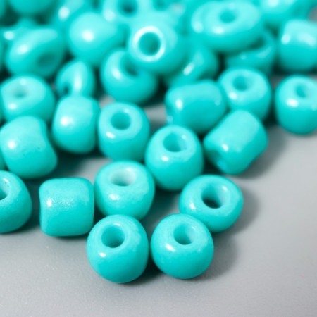 Round beads 6/0 "Dark green neon" 20 g-1