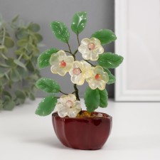 Bonsai Souvenir 
