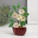 Bonsai Souvenir "Flower tree" yellow 5 flowers 7x5.2x13 cm