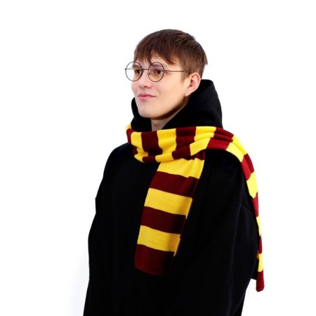 Set for magic "Young Wizard" 4 (glasses+ scarf)-4