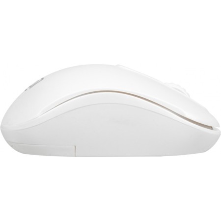 Mouse call 505MW white optical (1000DPI) wireless USB for a laptop (3but)-4