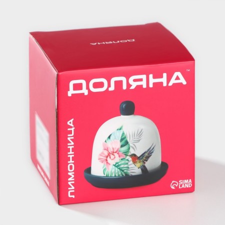 Lemonnitsa Dolyana "Tropics", 9 × 9 cm, white color-6