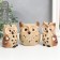 Ceramics "Filina - Opener" set 3 pcs 9.5x7x7 10x9x7.5x10x6.5x7 cm