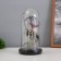 Halloween lamp “Skull with spiders” 1.5W, LED, 3XAAA, Black USB 11x11x21cm
