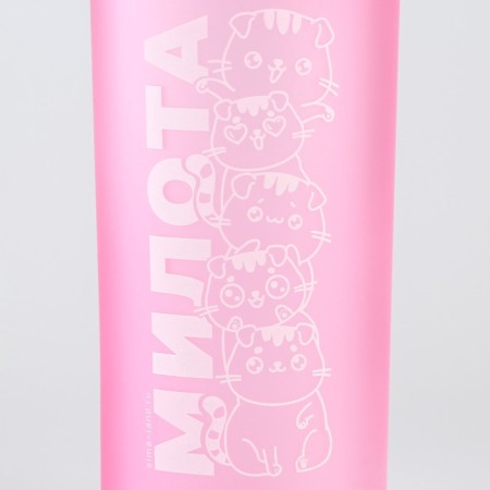 Set of drinking bowl and silicone bowl "cats"-5