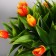 Bonsai in the pot "Tulips" 14x16 cm, mix