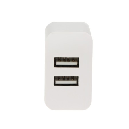 Network charger BYZ B35, 2 USB, 2.1 A, Microusb 1 m, white cable-6