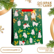 Gift package 