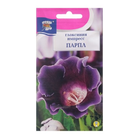 Gloxinia flowers "Impress Parl", 3 pcs. in amp.