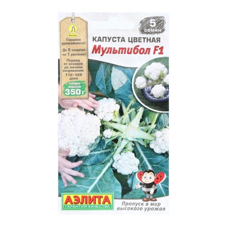 Seeds Cabbage Color "Multbool", F1, 5 pcs