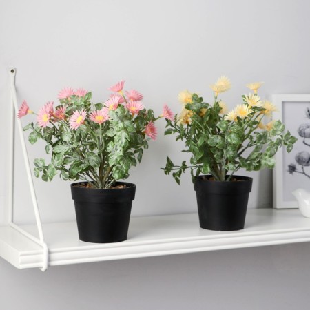 Bonsai in the pot "Chamomile Trushka" 9x22 cm, mix-2