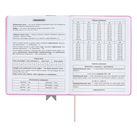 Universal diary for grades 1-11 Lenta, solid cover of artificial leather, applique, silkography, liesse, 48 sheets, pink-7
