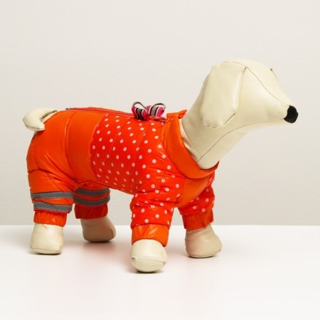 Kombinson for dogs "peas", size 16 (DS 30 cm, OG 44 cm, Osh 34 cm), red