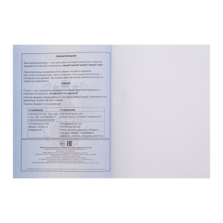 The diary is universal, for grade 1-11, "tirade", a solid cover, glossy lamination, an offset unit, a universal cheat sheet, 48 sheets-11