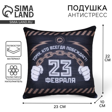 Antistress pillow decorative "February 23"