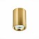 Ceiling lamp ST LUCE. ST114.207.01. 1x50 W, GU10, 6.5x6.5x9.3 cm, golden color