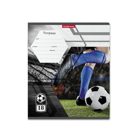 Notebook of 18 sheets in the Erichkrause Dribbling cage, cover coated cardboard, offset block, mix-4