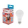 LED lamp In Home LED-A60-VC, E27, 12 W, 230 V, 4000 K, 1140 lm