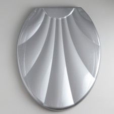 The toilet seat with the lid 