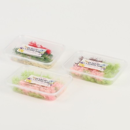 Set of dried flowers "Bright day", color mix-4