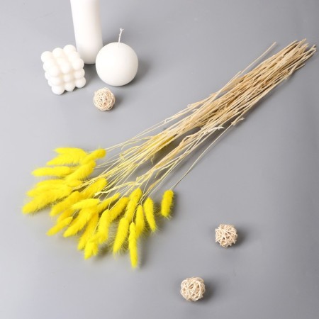Dry Sukhotzet "Lagurus" 65 cm, yellow (packing 30 pcs, price per 1 pc)