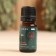 Geranium essential oil in individual packaging 10 ml