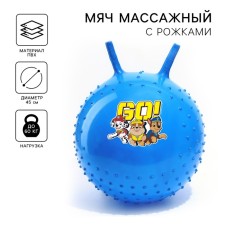 Massage jump with PAW PATROL GO, D = 45 cm, weight 350 g, Mix color