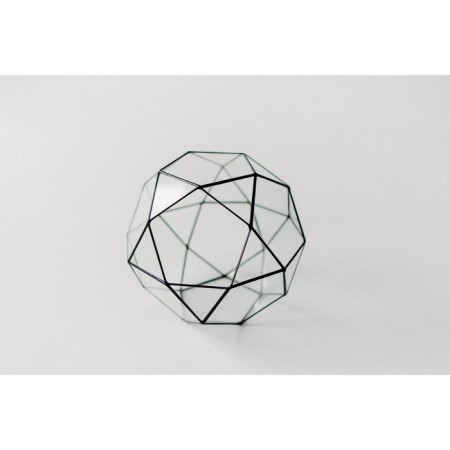Florarium "Cosmos", black seams-4