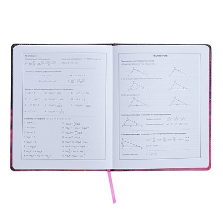 Universal Diary Grade 1-11, 48 sheets "Cat Princess", solid cover of artificial leather, lies, universal cheat sheet, block 80 g/m2-6