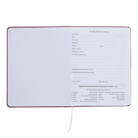 Universal diary for grade 1-11 No Comment, solid cover, artificial leather, foam rubber, silk-screen printing, liesse, 80 g/m2-3