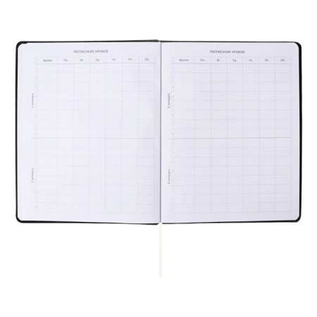 Universal diary for grades 1-11, hard cover, artificial leather, elastic band, lies, tinted block, 48 sheets-12