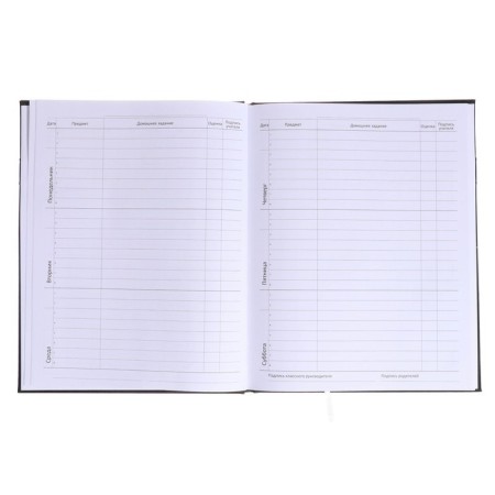 Universal diary for grade 1-11 Compass, solid cover, artificial leather, silk-screen printing, lies, 80 g/m2-6