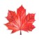 Decoration on the adhesive tape "Maple leaf" red color, 18x18 cm