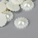 Set for creativity Half of the pearl-flowers d = 1.4 cm 20g