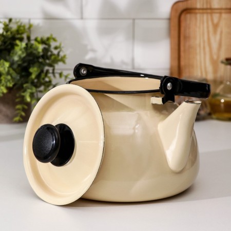 Spherical kettle, 3 l, induction, ivory color-1